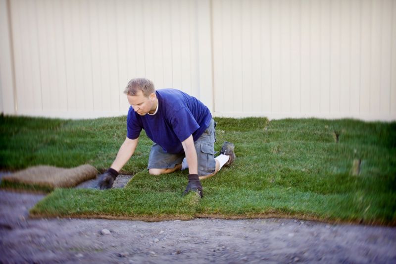 Lawn Erosion Repair